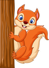 Cartoon cute squirrel climbing on a tree © tigatelu