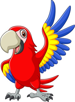 Cartoon macaw waving