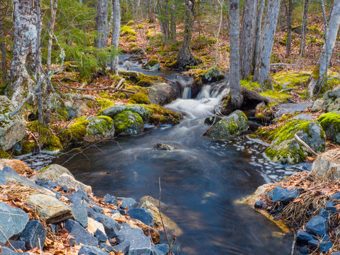 Stream in the forest, woods, no people, flowing © Kelly Mercer