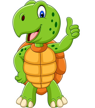Cartoon turtle giving a thumb up