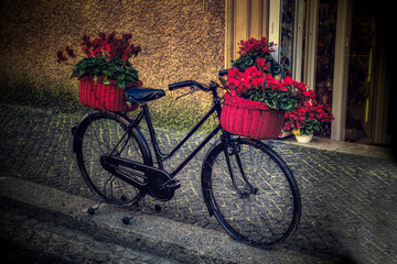 Fototapeta na wymiar Lonely bike