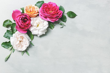 Flowers composition. Frame made of english rose flowers