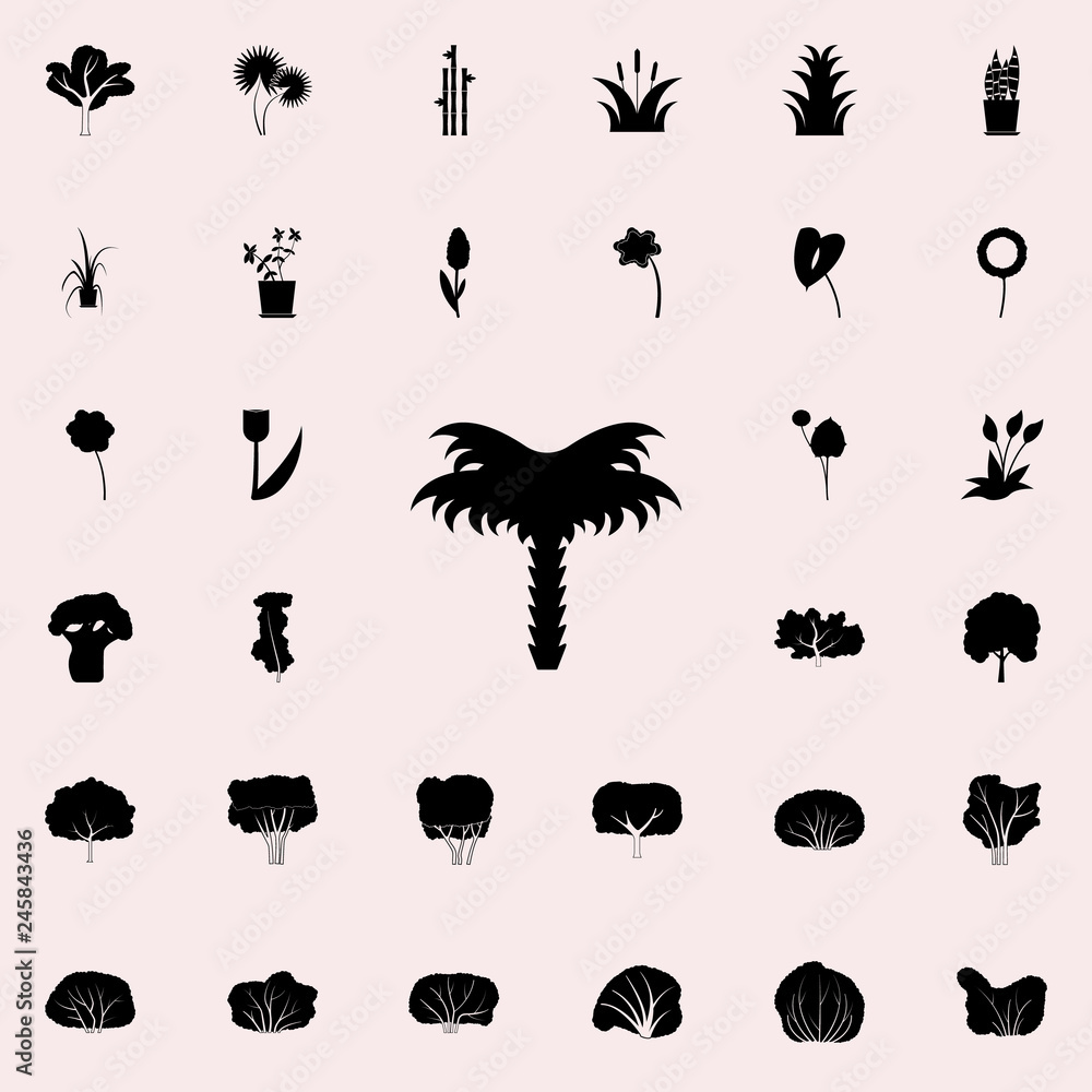 Poster palm icon. Plants icons universal set for web and mobile