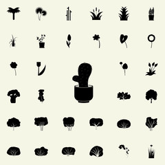 cactus icon. Plants icons universal set for web and mobile