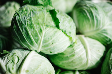 Fototapeta premium Freshly harvested organic cabbages. Copy space. Selective focus.