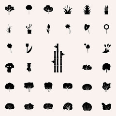 bamboo icon. Plants icons universal set for web and mobile