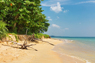 Exotic tropical beach. Thailand