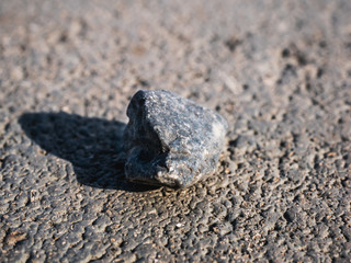 The shadow stone