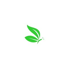 green butterfly logo design vector