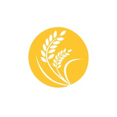 agriculture wheat logo in the circle design vector