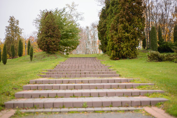 A wide staircase of tiles in a green park among small ornamental spruces