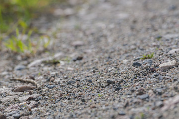 road of small gray stones with small bushes of green grass