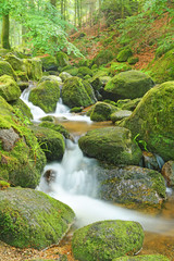Beautiful of Gertelbach Waterfalls in the lush and green Black Forest, Southern of Germany