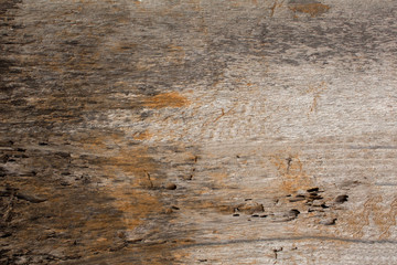 Old gray white yellow rotten wooden board. rough natural surface texture