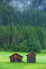 Two oak houses behind the pine tree green at Biberwier, Tyrol, Austria