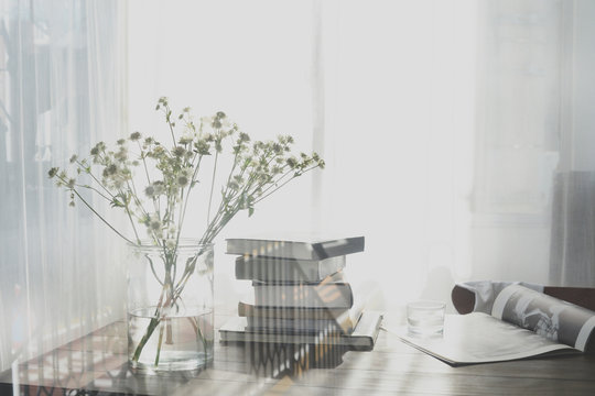 ひだまりの読書