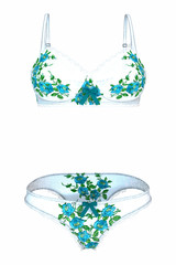 Female underwear.3d illustration isolated on white background