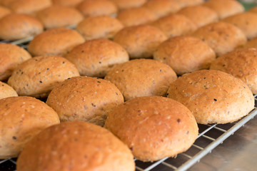 Top view of freshly baked bread