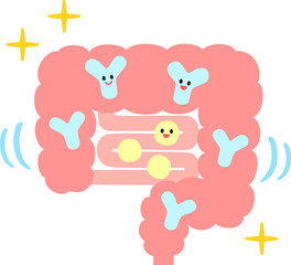 腸内にいる乳酸菌、ビフィズス菌