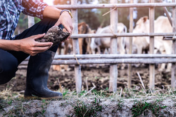 young man holding cow dung. farmer concept.