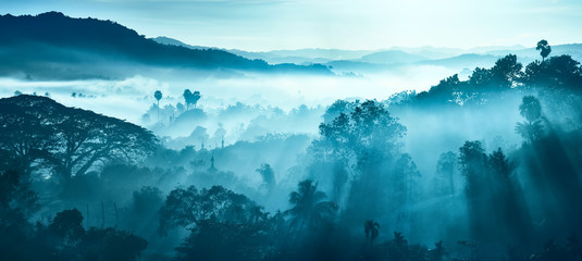 Beau paysage de montagnes et de forêt tropicale dans les rayons du soleil tôt le matin et le brouillard au Myanmar.