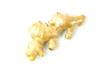 Ginger fresh isolated is a rooted plant with medicinal properties and is the elixir. with vitamins on white background and clipping path. The name of science : Zingiber officinale Roscoe