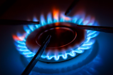 Blue gas burning from a kitchen gas stove. Selective focus