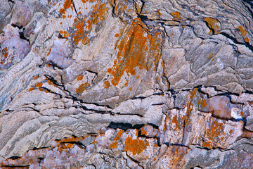 france; brittany; belle île island :  rock with lichen