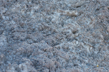 old gray dirty snow melting in the shade