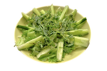 Various greens and cucumbers on a plate of light green color, close-up