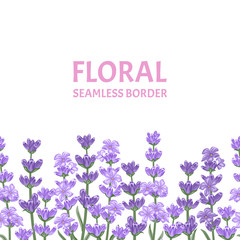 Lavender seamless pattern. Horizontal border with violet flowers isolated on white background. Vector floral illustration in cartoon flat style.