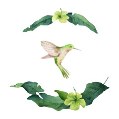 Watercolor vector card tropical leaves, hummingbird and flowers isolated on white background.