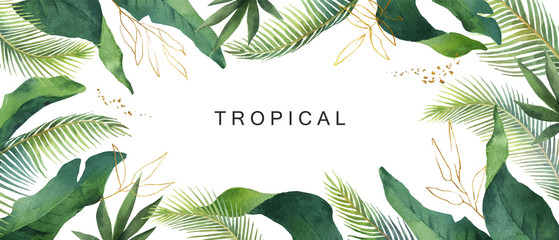 Watercolor vector banner tropical leaves isolated on white background.