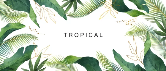 Fotobehang Watercolor vector banner tropical leaves isolated on white background. © ElenaMedvedeva