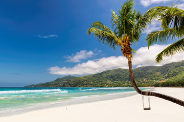 Beautiful white sand beach with coco palm and turquoise sea on famous Beau Vallon beach in tropical island, Mahe, Seychelles.