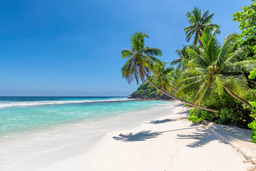 Naklejka na ściany i meble Exotic sandy beach with coco palms and turquoise sea in Jamaica island. Summer vacation and travel concept. 