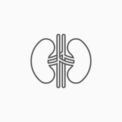 kidneys icon, kidneys vector