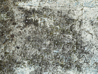 grungy wall Great textures for your design