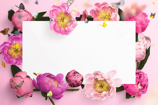 Fiori di primavera