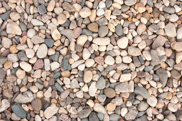 small scattered stones, texture, background