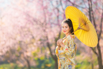 Asian beautiful woman wearing traditional japanese kimono and cherry blossom in spring, Japan.