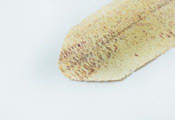 cuttlefish rolled  sea food close up  image.