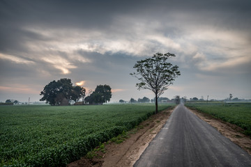 A beautiful landscape