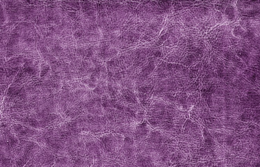 Violet color suede texture.