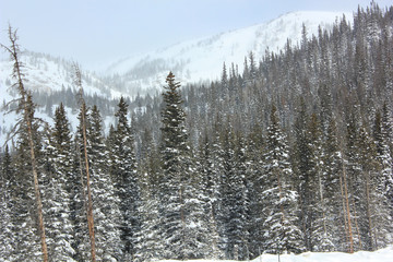 winter in the mountains