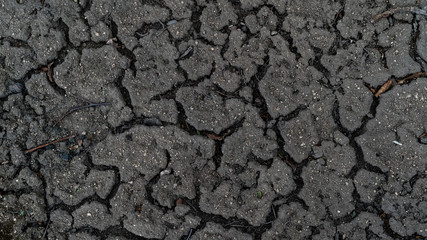 cracked earth texture