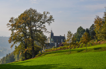Fototapeta na wymiar Meggenhorn Castle with vineyard