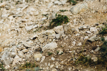 dark detailed gray stone background close up