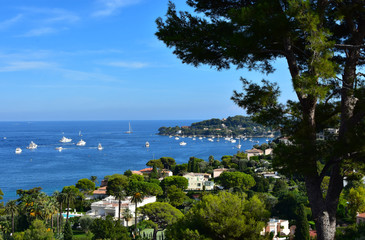 Naklejka premium Coast of the cote d azure