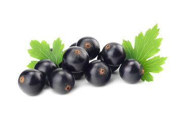 black currant with green leaf isolated on white background. macro